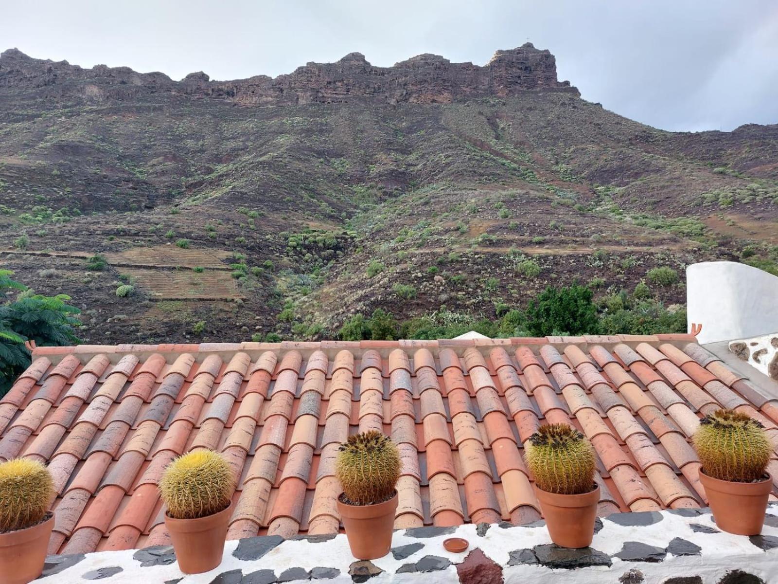 Historica Casa Con Vistas Al Jardin De Cactus Y Montanas Villa Mogan Exterior photo